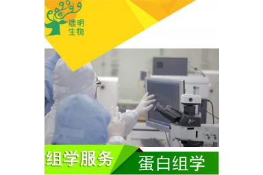 蛋白质质谱鉴定服务封面图