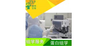 定量乙酰化蛋白质组分析