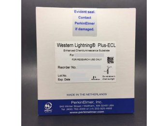 免疫印迹化学发光检测试剂 ECL