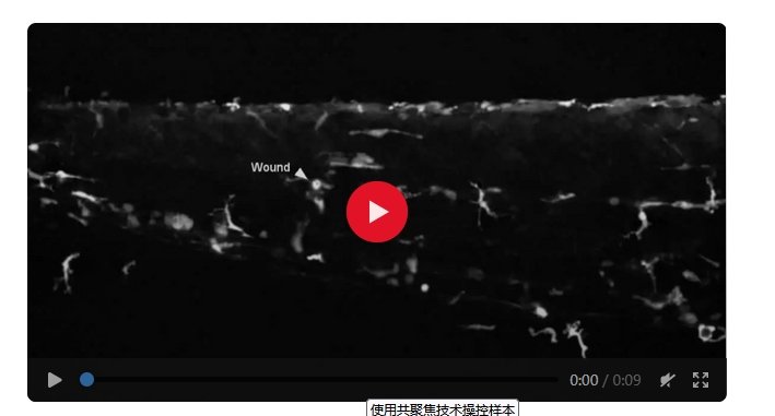 德国徕卡 STELLARIS DLS 数字光片显微镜
