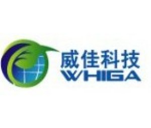 原位杂交