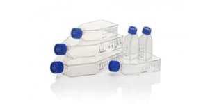 Thermo Scientific™ Nunc™ EasYFlask™ 细胞培养瓶