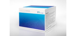 MGIEasy 游离DNA文库制备试剂套装