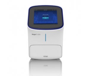 iBright智能成像系统 FL1000