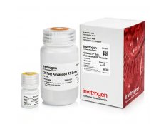 Cells-to-CT™ 散装 Fast Advanced RT 试剂