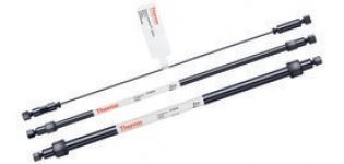 Dionex™ IonPac™ AS18-4µm 毛细管<em>离子</em>色谱柱、<em>分析</em>柱和保护柱