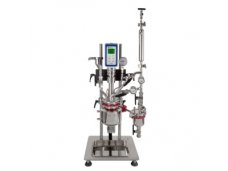 ChemTron NR系列 中压反应釜