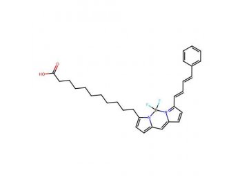 BODIPY 581/591 C11 (脂质过氧化传感器) ，217075-36-0，BioReagent,生物染色剂,适用于荧光分析,用于显微镜,≥98%