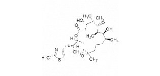 埃<em>博</em>霉素B