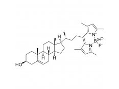 BODIPY胆固醇 ，878557-19-8，BioReagent,生物染色剂,适用于荧光分析,用于显微镜,≥97%