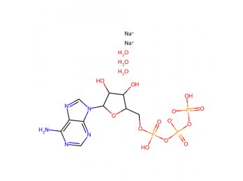 5'-三磷酸腺苷二钠盐 三水合物，51963-61-2，≥98%