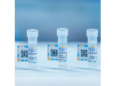 DNA上样缓冲液 (6X, 蓝色)，BioReagent, 用于核酸电泳,  6X