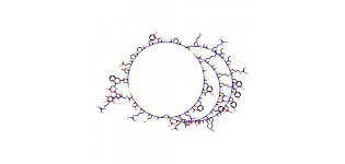 抑肽酶，9087-70-1，EnzymoPure™, <em>高级</em>纯