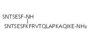 AUNP-12,PD-1途径抑制剂,1353563-85-5,≥98%