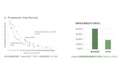 BRCA1/2基因突变检测封面图