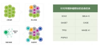 肺癌自身抗体谱早期检测服务
