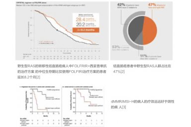 结直肠癌肿瘤分子检测封面图