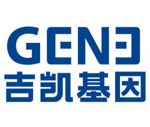 过表达/抑制microRNA质粒