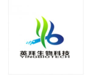 标书量身定制服务