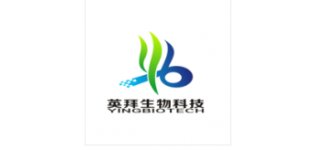 骨折大鼠模型