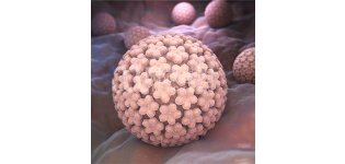 遗传性乳腺癌卵巢癌基因检测