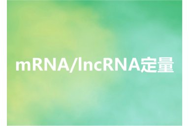 mRNA/lncRNA定量封面图