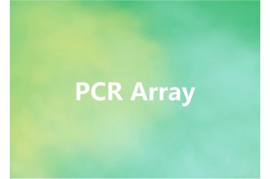PCR Array封面图