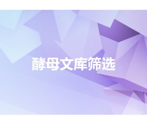 酵母文库筛选-欧易生物