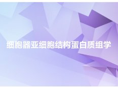 细胞器亚细胞结构蛋白质组学