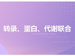 转录、蛋白、代谢联合 