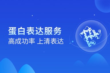 重组蛋白表达及纯化服务封面图