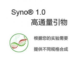 泓迅高通量引物合成