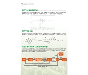 天然产物/杂质定制分离