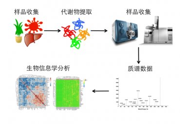 生物胺类物质分析封面图