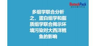多组学联合分析之,蛋白组学和脂质组学联合揭示<em>环境污染</em>对大西洋鳕鱼的影响