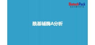 酰基辅酶A分析