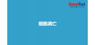 <em>细胞</em>凋亡
