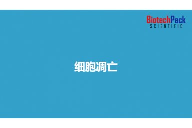 细胞凋亡