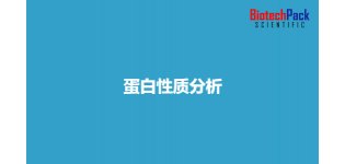 蛋白<em>性质</em>分析