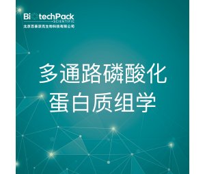 多通路磷酸化蛋白质组学--检测技术服务