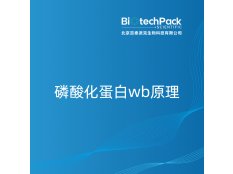 磷酸化蛋白wb原理