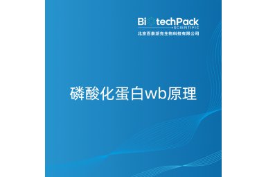 磷酸化蛋白wb原理封面图