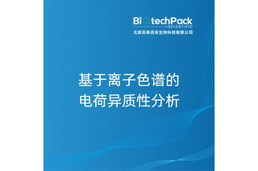 基于离子色谱的电荷异质性分析