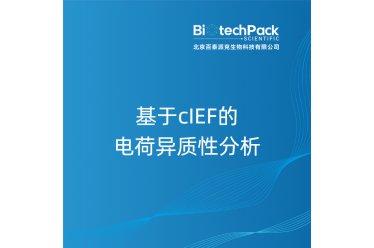 基于cIEF的电荷异质性分析
