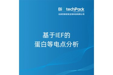 基于IEF的蛋白等电点分析