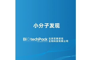 小分子发现封面图