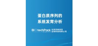 蛋白质序列的系统<em>发育</em>分析
