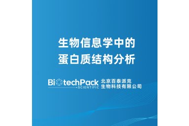 生物信息学中的蛋白质结构分析封面图