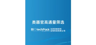 类器官高通量筛选