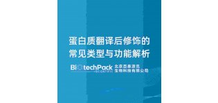 <em>蛋白质</em><em>翻译</em>后修饰的常见类型与功能解析